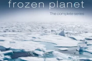 纪录片《冰冻星球/Frozen Planet》全1-2季1080P超高清视频合集在线看英语中字[MP4/MKV/35.75GB]云网盘下载