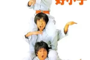 国产剧《好小子/Kung Fu Kids》1986~1990年10部高清电影视频合集在线看[MP4/MKV]云网盘下载